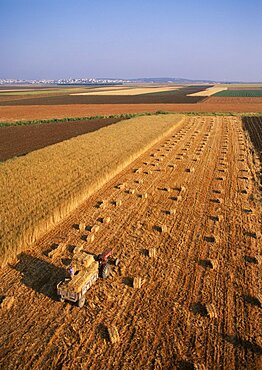 Aerial photograph of an agriculture field in the western Galilee, Israel