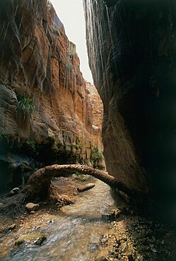 Rain falling on Wadi Iben Hamed