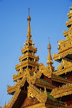 Monastery, Shwedagon Paya, Yangon (Rangoon), Myanmar (Burma), Asia