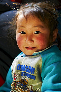 Young Mongolian boy, Province of Khovd, Mongolia, Central Asia, Asia