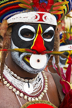 Sing Sing of Mount Hagen, a cultural show with ethnic groups, Mount Hagen, Western Highlands, Papua New Guinea, Pacific