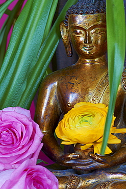 Statue of Buddha, Bangkok, Thailand, Southeast Asia, Asia