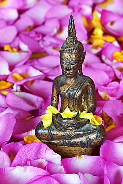 Statue of Buddha, Bangkok, Thailand, Southeast Asia, Asia