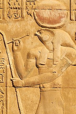 Bas relief, Temple of Sobek and Haroeris, Kom Ombo, Egypt, North Africa, Africa