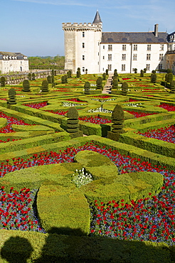 Chateau de Villandry and garden, UNESCO World Heritage Site, Loire Valley, Indre et Loire, France, Europe