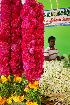 Flower market, Madurai, Tamil Nadu, India, Asia