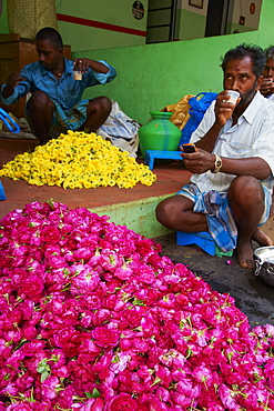 Flower market, Madurai, Tamil Nadu, India, Asia