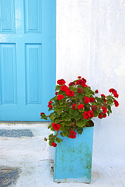 Red geraniums, Chora, Amorgos, Cyclades, Aegean, Greek Islands, Greece, Europe