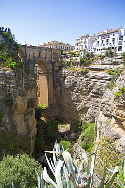 View of Ronda and Puente Nuevo from Jardines De Cuenca, Ronda, Andalusia, Spain, Europe