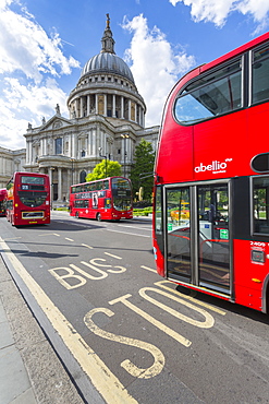 View of St. Paul's Cathedral and London red buses from St. Paul's Churchyard, City of London, London, England, United Kingdom, Europe