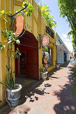 Cigar shop off 8th Street in Little Havana, Miami, Florida, United States of America, North America