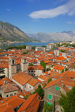 View over Old Town, Kotor, UNESCO World Heritage Site, Montenegro, Europe