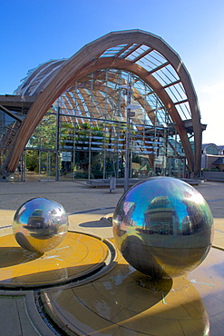 Winter Gardens, Sheffield, South Yorkshire, Yorkshire, England, United Kingdom, Europe