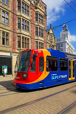 City tram, Sheffield, South Yorkshire, Yorkshire, England, United Kingdom, Europe