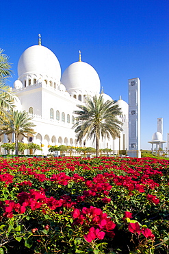 Sheikh Zayed Bin Sultan Al Nahyan Mosque, Abu Dhabi, United Arab Emirates, Middle East 