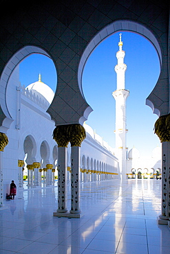 Sheikh Zayed Bin Sultan Al Nahyan Mosque, Abu Dhabi, United Arab Emirates, Middle East 