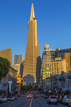 View of Transamerica Pyramid building on Columbus Avenue, North Beach, San Francisco, California, United States of America, North America