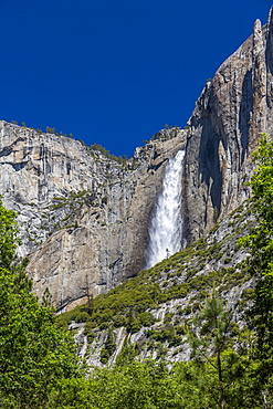 View of Yosemite Falls from Yosemite Village, Yosemite National Park, UNESCO World Heritage Site, California, United States of America, North America