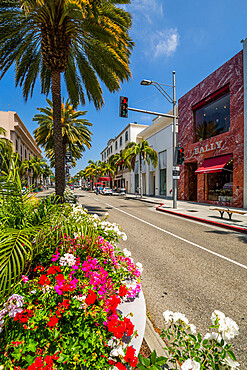 View of shops on Rodeo Drive, Beverly Hills, Los Angeles, California, United States of America, North America