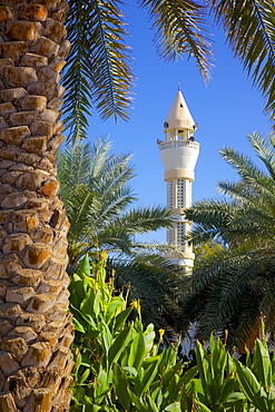 Mosque, Al Ain, Abu Dhabi, United Arab Emirates, Middle East 