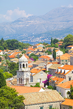 View of Old Town, Cavtat, Dubrovnik Riviera, Dalmatian Coast, Dalmatia, Croatia, Europe 