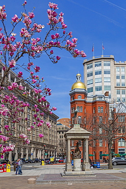 View of John Marshall Park on Pennsylvania Avenue, Washington D.C., United States of America, North America