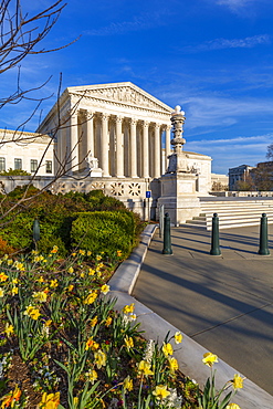 View of Supreme Court of the United States in spring, Washington D.C., United States of America, North America