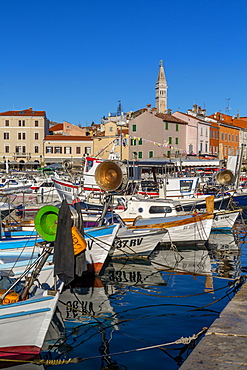 View of harbour and the old town with the Cathedral of St. Euphemia, Rovinj, Istria, Croatia, Adriatic, Europe