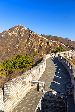 View of Great Wall of China at Huanghua Cheng (Yellow Flower), UNESCO World Heritage Site, Xishulyu, Jiuduhe Zhen, Huairou, People's Republic of China, Asia