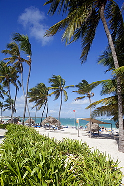 Bavaro Beach, Punta Cana, Dominican Republic, West Indies, Caribbean, Central America