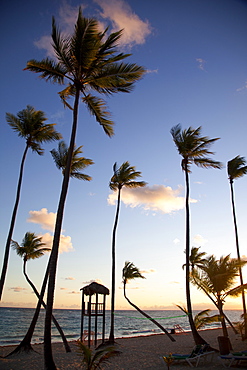 Bavaro Beach at sunrise, Punta Cana, Dominican Republic, West Indies, Caribbean, Central America