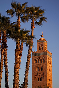 Minaret of the Koutoubia Mosque, Marrakesh, Morocco, North Africa, Africa