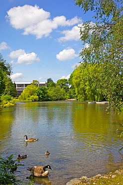 Queen's Park, Chesterfield, Derbyshire, England, United Kingdom, Europe