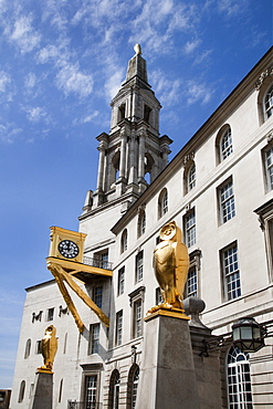 Leeds Owls and Civic Hall, Leeds, West Yorkshire, Yorkshire, England, United Kingdom, Europe