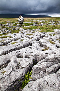 Limestone Pavement and Standing Stone,Twisleton Scar, Yorkshire Dales, North Yorkshire, Yorkshire, England, United Kingdom, Europe