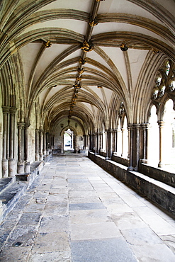 Norwich Cathedral Cloisters, Norwich, Norfolk, England, United Kingdom, Europe