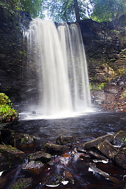 Whitfield Gill Force near Askrigg, Wensleydale, North Yorkshire, Yorkshire, England, United Kingdom, Europe