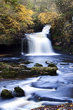 West Burton Waterfall in autumn, Wensleydale, North Yorkshire, England, United Kingdom, Europe 