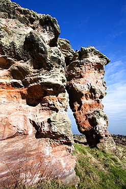 Buddo Rock on the Fife Coastal Path near Boarhills, Fife, Scotland, United Kingdom, Europe