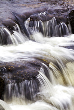 Redmire Force on the River Ure, Wensleydale, Yorkshire Dales, Yorkshire, England, United Kingdom, Europe 