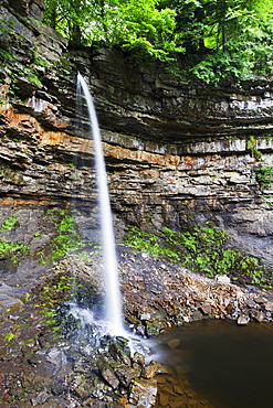 Hardraw Force in Wensleydale, Yorkshire Dales National Park, Yorkshire, England, United Kingdom, Europe 