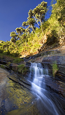 Water flows down the forested slopes of Mount Nyiru, Northern Frontier, Kenya, East Africa, Africa