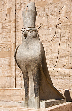 Granite falcon figure of the god Horus at Edfu temple, Egypt, North Africa, Africa