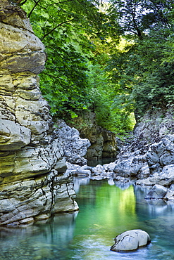 The crystal clear water of the Voidomatis River reflects the vibrant Spring greens in the Vikos Gorge, Zagoria, Epirus, Greece, Europe