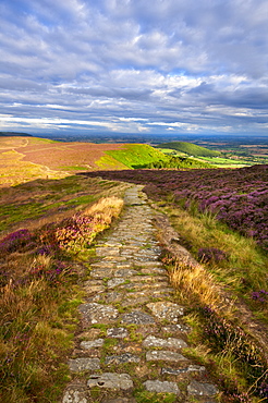 Clouds gather above the Cleveland Way and the heather-clad Little Bonny Cliff, North Yorkshire Moors, Yorkshire, England, United Kingdom, Europe