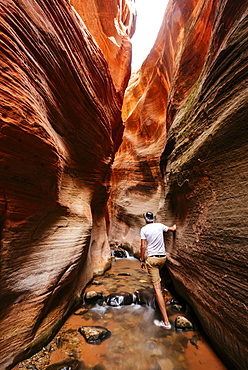 Kanarra Creek Canyon, Kanarraville, Utah, United States of America, North America