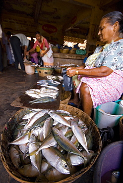 Woman selling fish, Mapusa Market, Goa, India, Asia