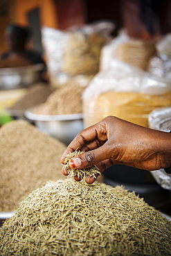 Spices on display in local market, Accra, Ghana, Africa