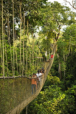 People on Canopy Walkway through tropical rainforest in Kakum National Park, Ghana, Africa