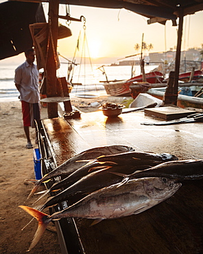 Fish market at dawn, Galle, South Coast, Sri Lanka, Asia